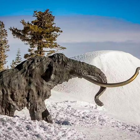 La Vista Blanc Lägenhet Mammoth Lakes Exteriör bild